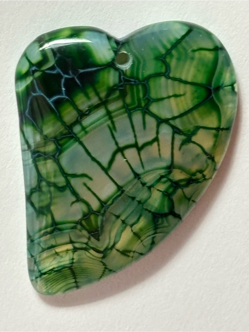 Close Up Vein Stem Leaf Phototropism Color Rock - Picture 15 of 16